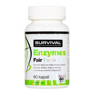 Enzymes Fair Power (60капс)